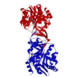 Image of CATH 3umo