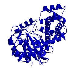 Image of CATH 3upx