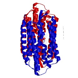 Image of CATH 3uty