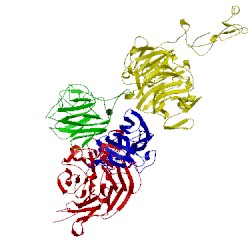 Image of CATH 3v65