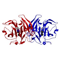 Image of CATH 3v6n