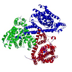 Image of CATH 3v8f