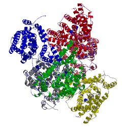 Image of CATH 3v8g