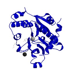 Image of CATH 3v91