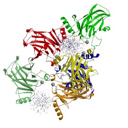 Image of CATH 3vd2