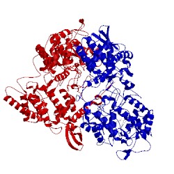 Image of CATH 3vlj