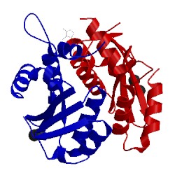 Image of CATH 3vqc