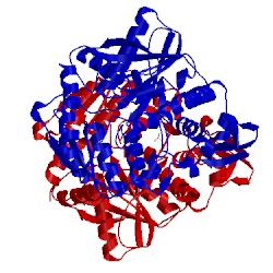 Image of CATH 3vsa