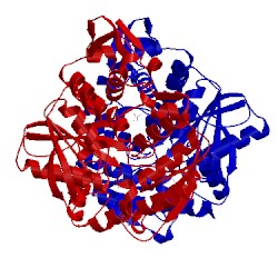 Image of CATH 3vsd