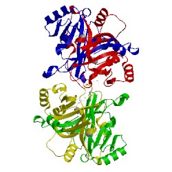 Image of CATH 3w0t