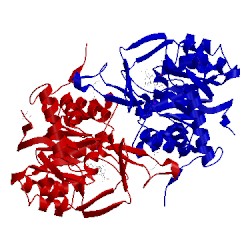 Image of CATH 3w1m