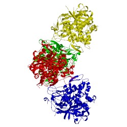 Image of CATH 3w6q