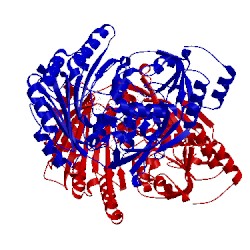 Image of CATH 3w8x