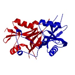 Image of CATH 3wbq