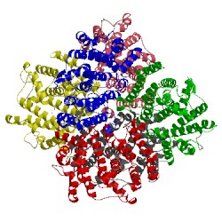 Image of CATH 3wcd