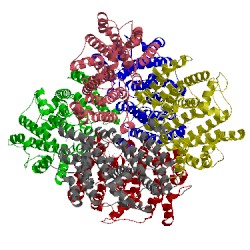 Image of CATH 3wcf