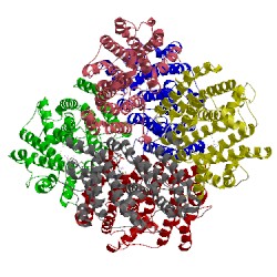 Image of CATH 3wci