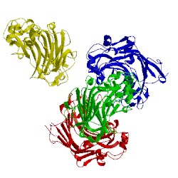 Image of CATH 3wdt