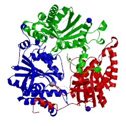 Image of CATH 3we7