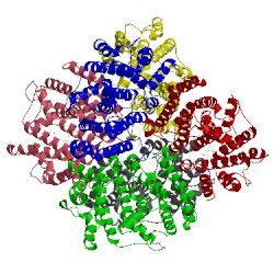 Image of CATH 3wef