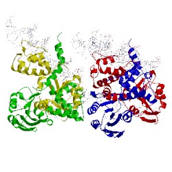 Image of CATH 3wgi