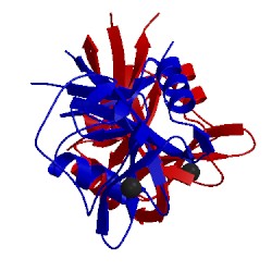 Image of CATH 3whd