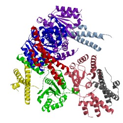 Image of CATH 3whl