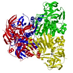 Image of CATH 3wic