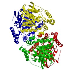 Image of CATH 3wj2