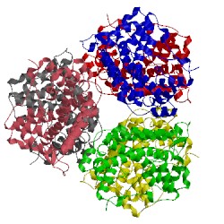 Image of CATH 3wj8