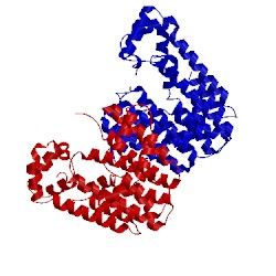 Image of CATH 3wjn