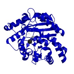 Image of CATH 3wml