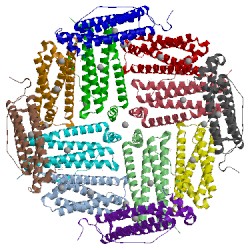 Image of CATH 3wnw