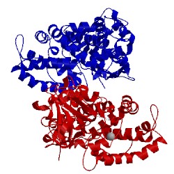 Image of CATH 3wrl