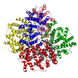 Image of CATH 3wsa