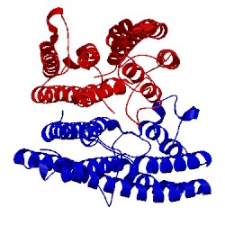 Image of CATH 3wsc