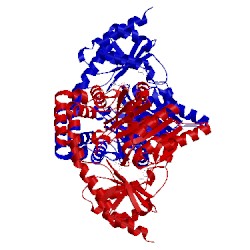 Image of CATH 3wx9