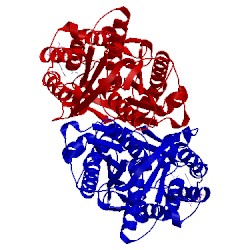 Image of CATH 3wxy