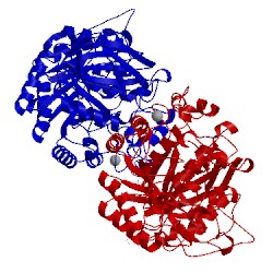 Image of CATH 3wy2