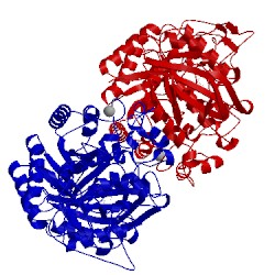 Image of CATH 3wy3