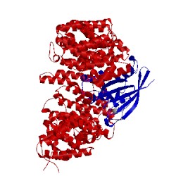 Image of CATH 3wyg