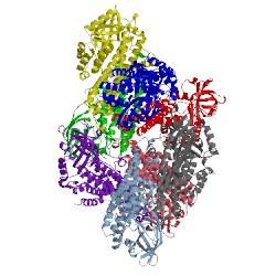 Image of CATH 3x0x