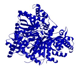 Image of CATH 3zct