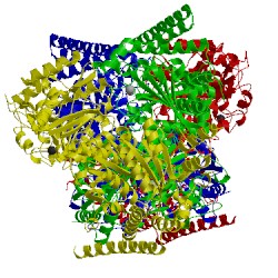 Image of CATH 3zhv
