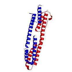 Image of CATH 3zrv