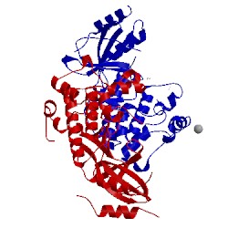 Image of CATH 3zuu