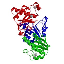 Image of CATH 3zvs