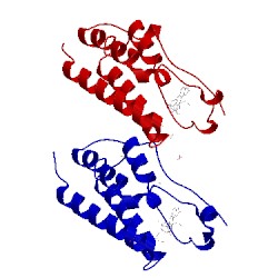 Image of CATH 3zyu