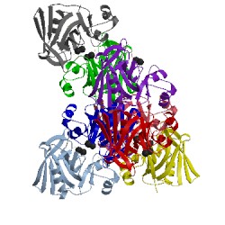 Image of CATH 4a1i