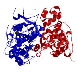 Image of CATH 4aal